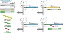 dab805tkj-1.webp