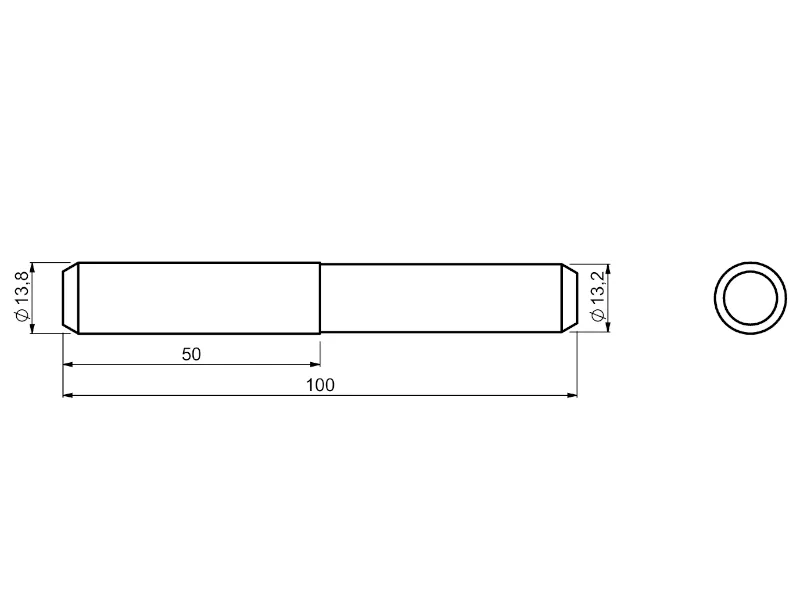 PIN_VECTOR_foto2.webp