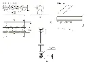 LOWCUT_E-BOX_foto4.webp